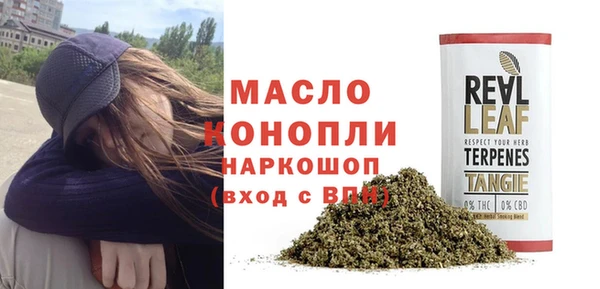 спиды Богородицк