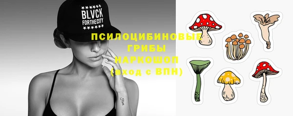 экстази Богданович