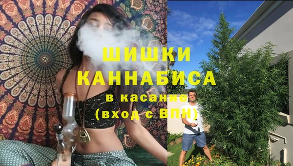 прущая мука Богородск