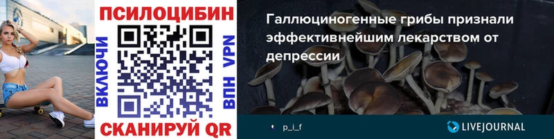Псилоцибиновые грибы GOLDEN TEACHER  Тулун 